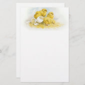 Baby Briefpapier (Voorkant / Achterkant)