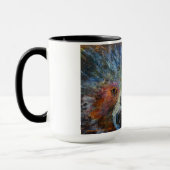 Baby Bruin Mok (Links)