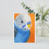 Baby Budgie Briefkaart (Staand voorkant)