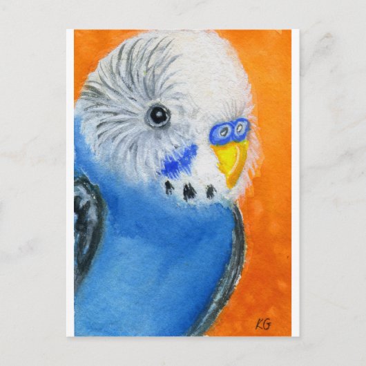 Baby Budgie Briefkaart (Voorkant)