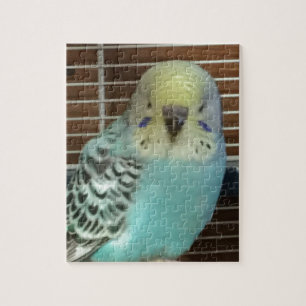 Baby budgie legpuzzel