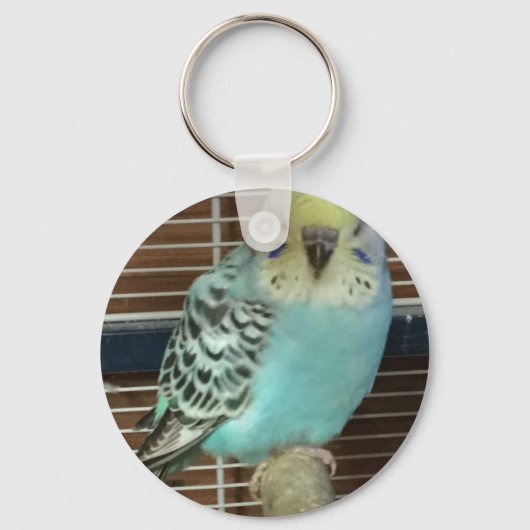Baby budgie sleutelhanger (Voorkant)