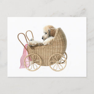 Baby-buggy Briefkaart