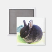 Baby Bun Magnet - Sydney Magneet (Voorkant / Achterkant)