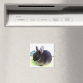 Baby Bun Magnet - Sydney Magneet (Insitu (Vaatwasser))