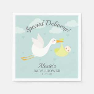 Baby bundel Baby shower Servet