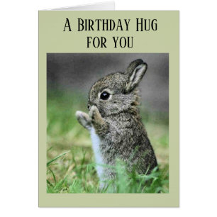 Baby Bunny Birthday Hug