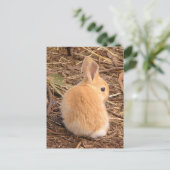 Baby Bunny Briefkaart (Staand voorkant)