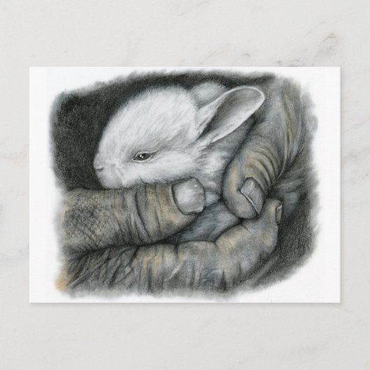 BABY BUNNY BRIEFKAART (Voorkant)