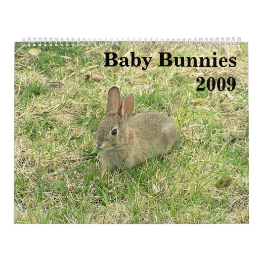 Baby Bunny Calendar 2009 Kalender (Hoes)