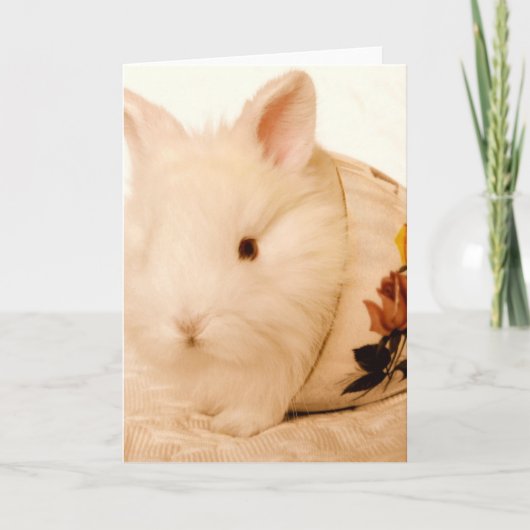 Baby Bunny Kaart (Voorkant)