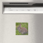 Baby Bunny Magnet Magneet (Insitu (Vaatwasser))