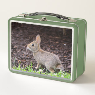 Baby Bunny Metal Lunchbox