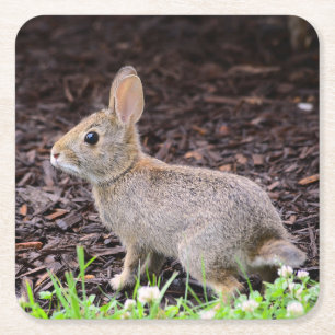 Baby Bunny Onderzetter