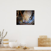 Baby Bunny Photo Print (Keuken)