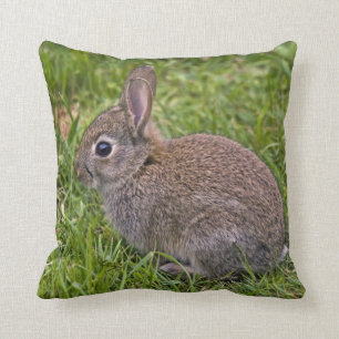 Baby Bunny Pillow Kussen
