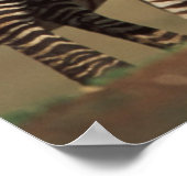 Baby Burchell's Zebra met moeder Poster (Hoek)