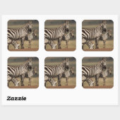 Baby Burchell's zebra met moeder Vierkante Sticker (Vel)