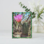 Baby Cactus Briefkaart (Staand voorkant)