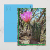 Baby Cactus Briefkaart (Voorkant / Achterkant)