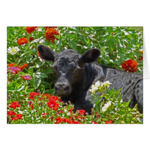 Baby Calf in de bloemen