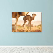 Baby Camel Canvas Afdruk (Insitu (Houten vloer))