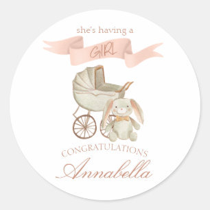  Baby Carriage en Bunny Baby Meisje Ronde Sticker