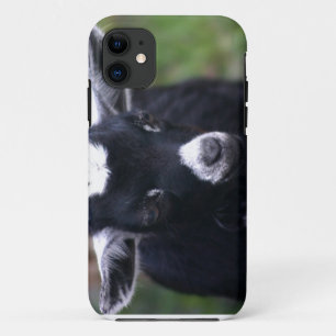 Baby iPhone 11 Hoesje