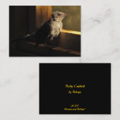 Baby Catbird ATC Visitekaartje (Voorkant / Achterkant)