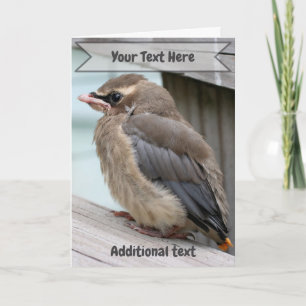 Baby Cederpestvogel Natuurfoto  Kaart