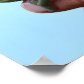 Baby-chameleons perspectief poster (Hoek)