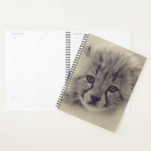 Baby Cheetah (Devant avec enveloppe)