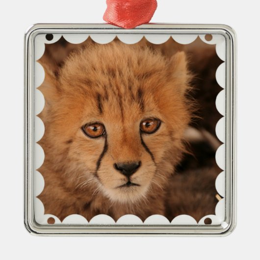 Baby Cheetah Ornament (Voorkant)