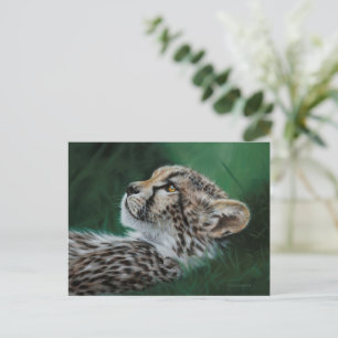 Baby Cheetah Postcard Set 10 Briefkaart