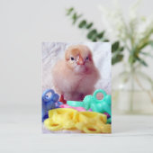 Baby Chick Briefkaart (Staand voorkant)
