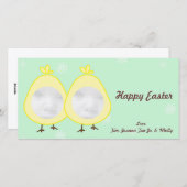 Baby Chick Cartes photos de Pâques (Devant / Derrière)