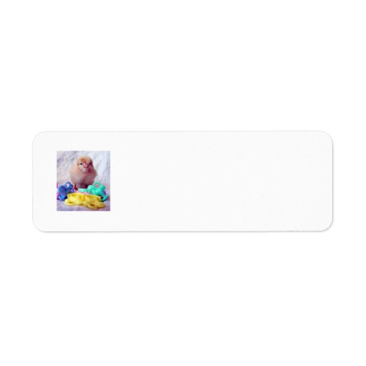 Baby Chick Etiket (Voorkant)