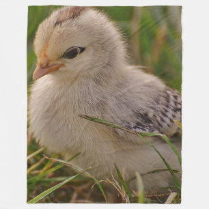 Baby Chick Fleece Blanket Deken