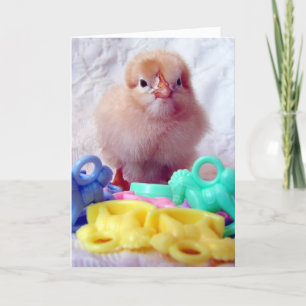 Baby Chick, Idéal Pour Une Carte De Salutation Bab