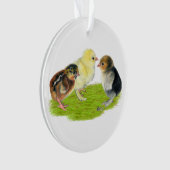 Baby Chick Trio Ornament (voorkant)