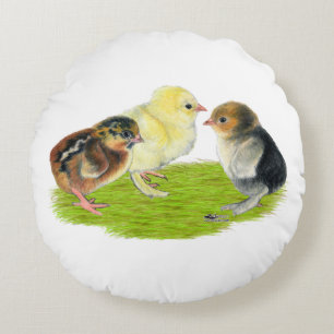 Baby Chick Trio Rond Kussen