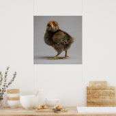 Baby Chicken Poster (Keuken)