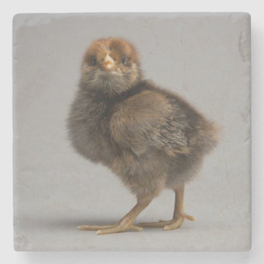 Baby Chicken Stenen Onderzetter (Voorkant)