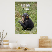 Baby Chimpansee | Pan Troglodytes Poster (Keuken)