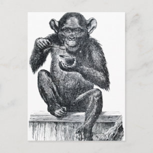  Baby chimpansetekening Briefkaart