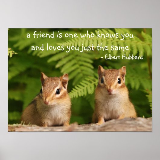 Baby Chipmunk Friends Quote Poster (Voorkant)
