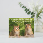 Baby Chipmunk Friendship Quote Carte postale (Debout devant)