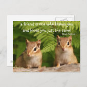 Baby Chipmunk Friendship Quote Carte postale (Devant / Derrière)