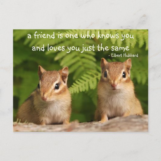 Baby Chipmunk Friendship Quote Carte postale (Devant)