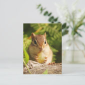Baby Chipmunk met snack Briefkaart (Staand voorkant)